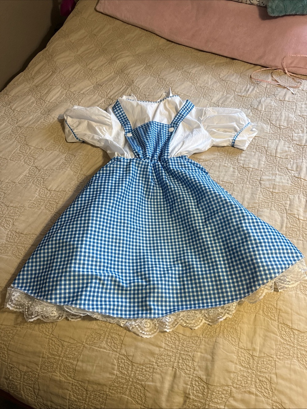 Blue Gingham Dorothy Costume Dress with White Blouse